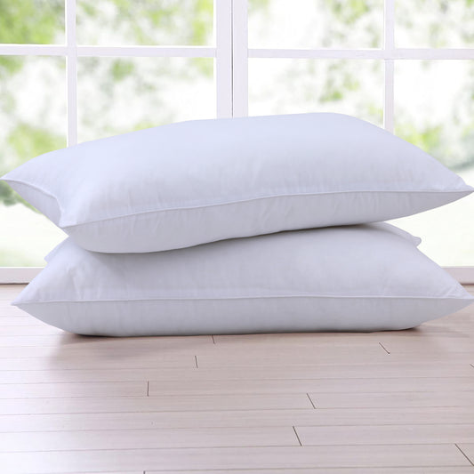 FILLED PILLOW (PAIR) - Hanliway