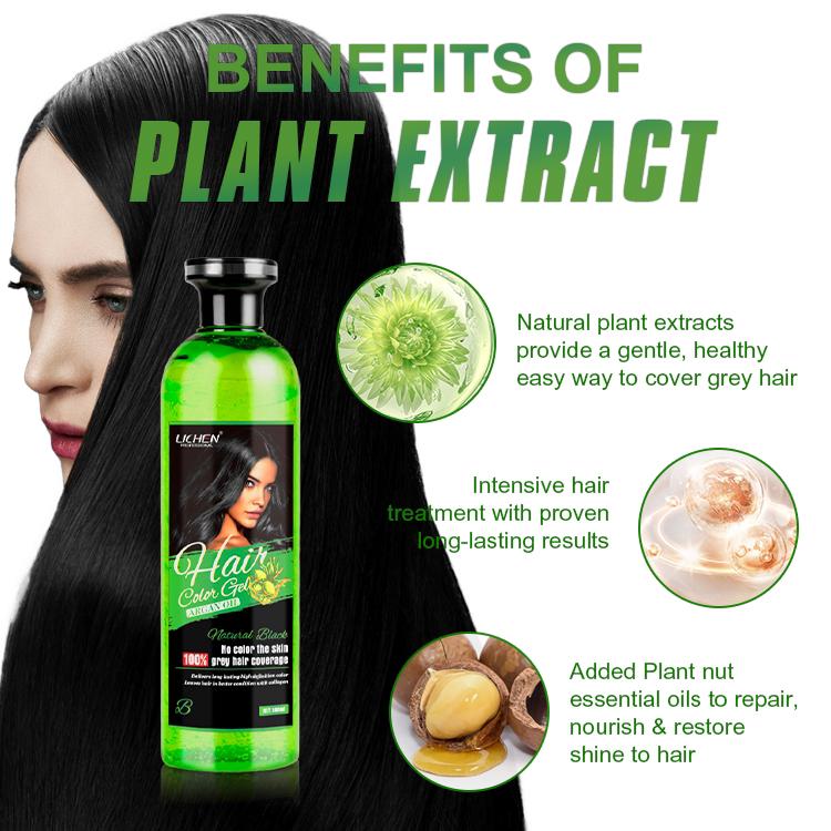 LICHEN HAIR COLOR GEL (ARGAN OIL) - Hanliway